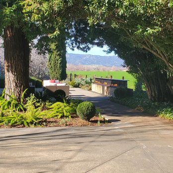 Park Winters Flower Farm - Views are all around with patios to take it all in. - Pick Your Own Farms Near Me - Winters, California