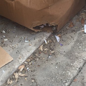 Public Storage - Rat droppings. Dead rats in my boxes. - Self Storage Near Me - Orlando, Florida Public Storage - Rat droppings. Dead rats in my boxes. - Self Storage Near Me - Orlando, Florida