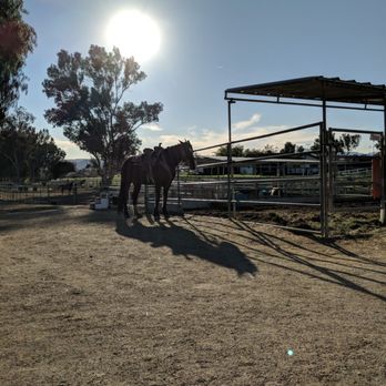 Susie Q Ranch - Beautiful area and healthy horses - Horseback Riding Near Me - Murrieta, California Susie Q Ranch - Beautiful area and healthy horses - Horseback Riding Near Me - Murrieta, California