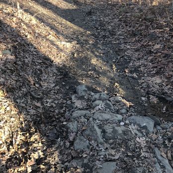 Patapsco Valley State Park - Along the trail - Parks Near Me - Ellicott City, Maryland