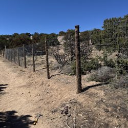 Camino De Piedra Landscaping