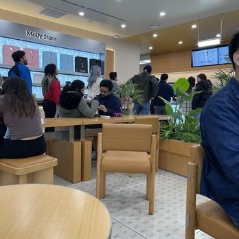 Molly Tea - Bubble Tea Near Me - Sunnyvale, California
