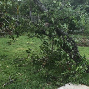 RF Tree Service - Tree Services Near Me - Houston, Texas