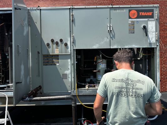 The Heating and Cooling Guys Logo