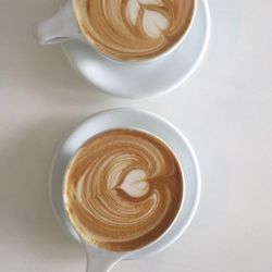 Youngblood Coffee Roasters
