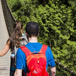Lynn Canyon Tour.