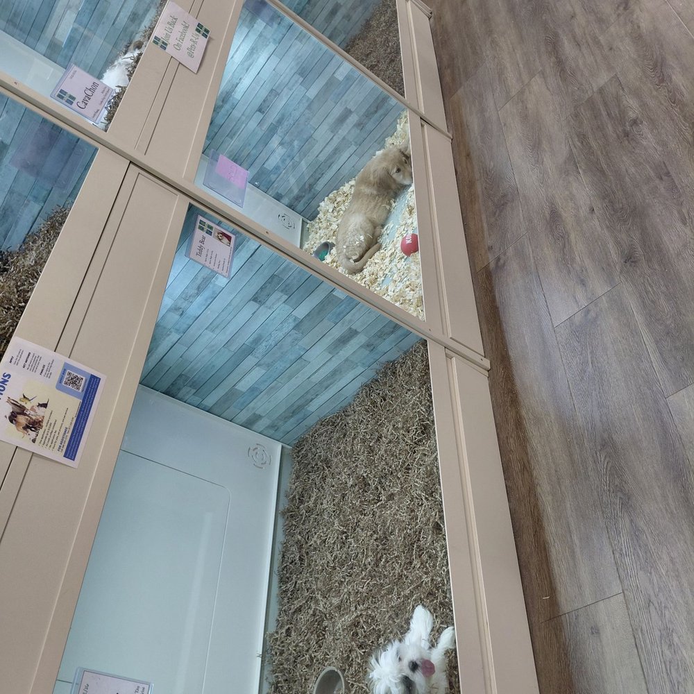 Pets-R-US - Pet Stores Near Me - Omaha, Nebraska Pets-R-US - Pet Stores Near Me - Omaha, Nebraska