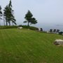 Photo of Mission Green Landscaping