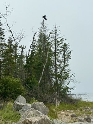 Fisherman's Island State Park by null
