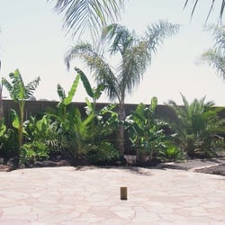 Four post, custom paint Palapa: BEFORE