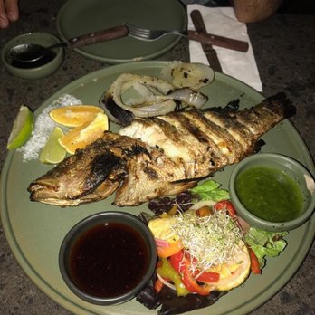 Casa Jaguar - Catch of the day - Caribbean Near Me - Tulum, ROO Casa Jaguar - Catch of the day - Caribbean Near Me - Tulum, ROO