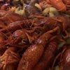 The Crawfish Shack & Drive Thru gift card