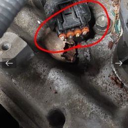 Wire damage caused by rodents Wire damage caused by rodents
