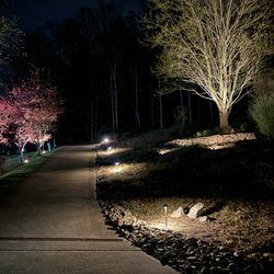 Outdoor landscape and tree lighting