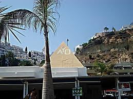 Ayo by null