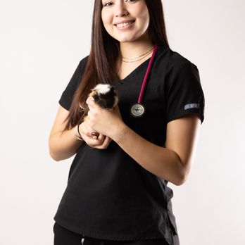 PetSmart Veterinary Services - Veterinarians Near Me - Ponce, Puerto Rico PetSmart Veterinary Services - Veterinarians Near Me - Ponce, Puerto Rico