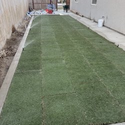 A-G Sod Farms - Celebration Bermuda