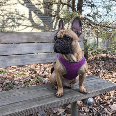 Photo of Burke-Gilman Trail - Seattle, WA, US.