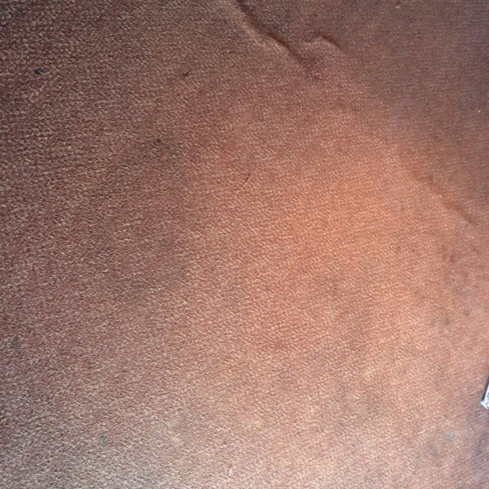 Esquire Inn - Stained carpets - Hotels Near Me - Beeville, Texas Esquire Inn - Stained carpets - Hotels Near Me - Beeville, Texas