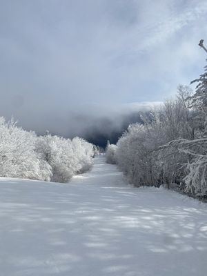 Okemo Mountain Resort by null