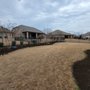 Photo of Arlo Tree Services and Landscapes