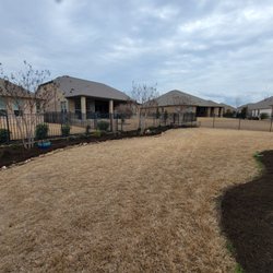 Arlo Tree Services and Landscapes