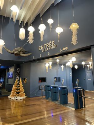 La Rochelle Aquarium by null