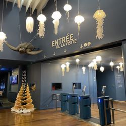 Aquarium la Rochelle