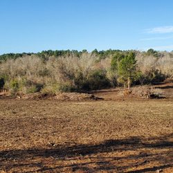 TMW Land Services - Completed clearing