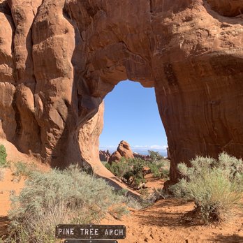 Arches National Park - Pine tree arch - Parks Near Me