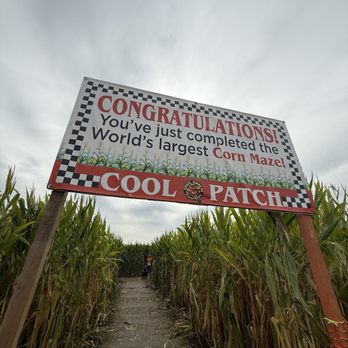 Cool Patch Pumpkins - took 46 minutes to complete! - Pumpkin Patches Near Me - Dixon, California