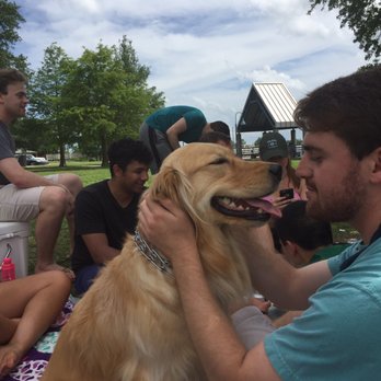 The Fly - The Fly is a great place to hang with friends and bring your dog on a sunny day. - Parks Near Me - New Orleans, Louisiana