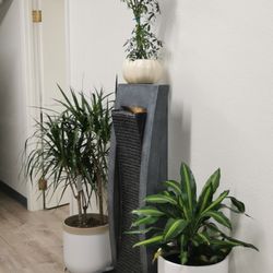 Nucell Skin Medspa - Front area