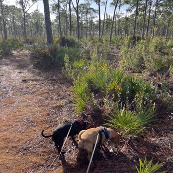 Galt Preserve - Parks Near Me - Saint James City, Florida