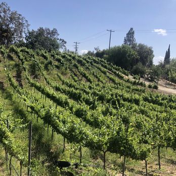 Vitagliano Winery - Wineries Near Me - Temecula, California Vitagliano Winery - Wineries Near Me - Temecula, California