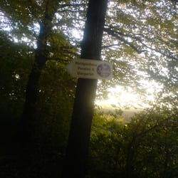 Waldgasthaus Balsamine - Damit sich auch niemand verläuft, gibt es mehrere Wegweiser dieser Art auf dem Weg zur Balsamine.