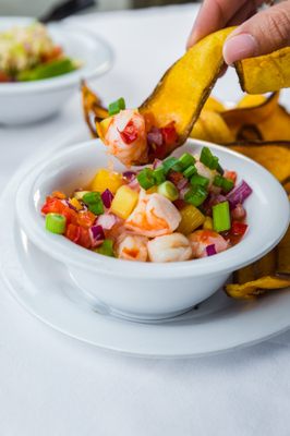 Monty's Coconut Grove by null