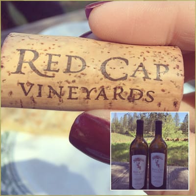 Red Cap Vineyards by null