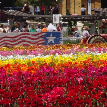 The Flower Fields - Venues & Event Spaces Near Me - Carlsbad, California