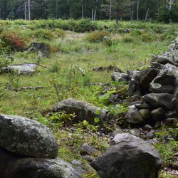 Borders Farm Preservation - Many fields viewable from the red-blazed hiking trails.