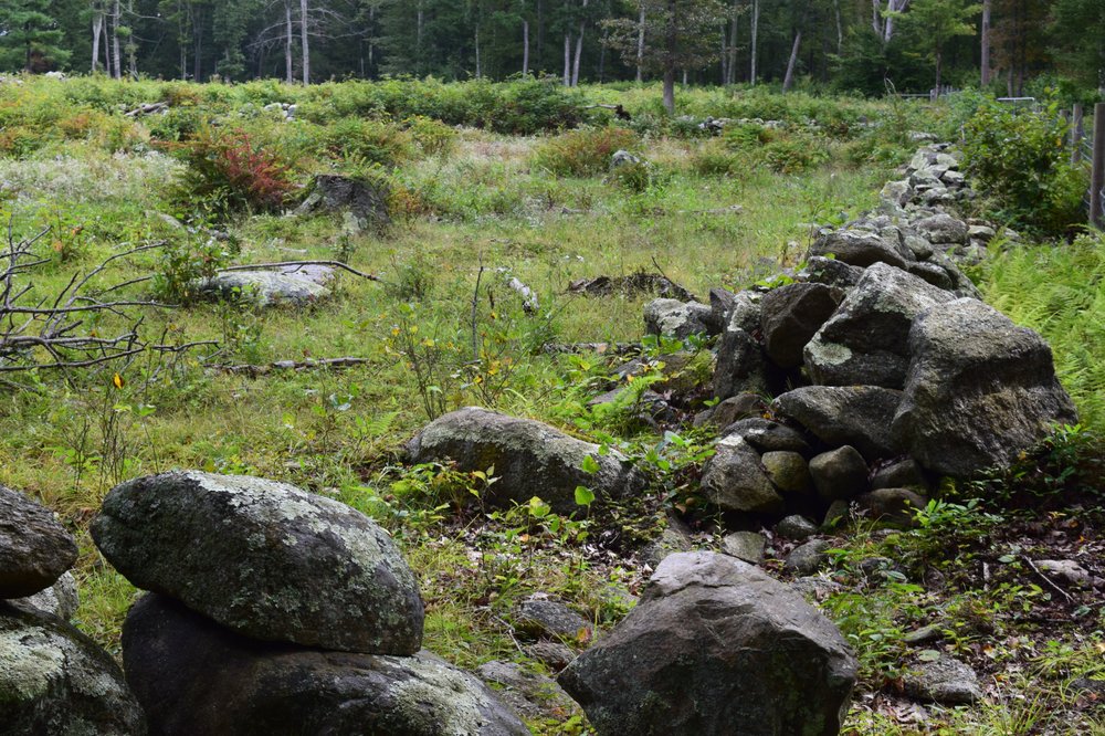 BORDERS FARM PRESERVATION Updated August 2024 10 Photos 31 North Rd, Foster, Rhode Island