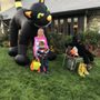 Photo of Halloween Night at Clark Gable Estates