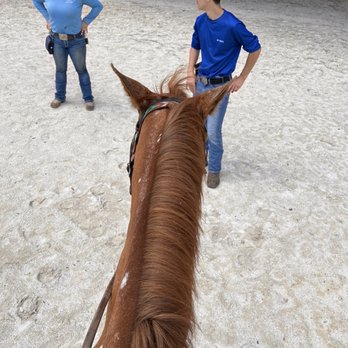 Redland Equestrian Center - Very friendly staff - Horseback Riding Near Me - Naranja, Florida Redland Equestrian Center - Very friendly staff - Horseback Riding Near Me - Naranja, Florida