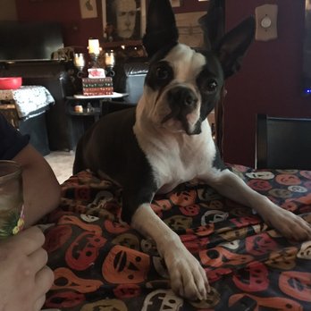 Nanny Nikki's Pet Sitting - Pet Sitting Near Me - Phoenix, Arizona Nanny Nikki's Pet Sitting - Pet Sitting Near Me - Phoenix, Arizona