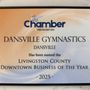 Photo of Dansville Gymnastics