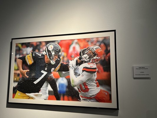 Pro Football Hall of Fame by null