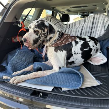 Candaces Pet Care Center - Pet Groomers Near Me - Riverside, California