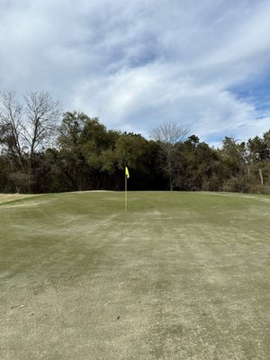 Forest Creek Golf Club by null