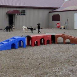 Sam & Danni's Pet Resort Spa