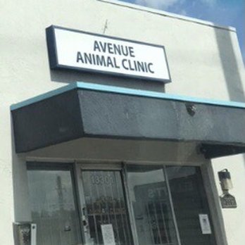 Avenue Animal Clinic - A feel good place - Veterinarians Near Me - North Miami, Florida Avenue Animal Clinic - A feel good place - Veterinarians Near Me - North Miami, Florida